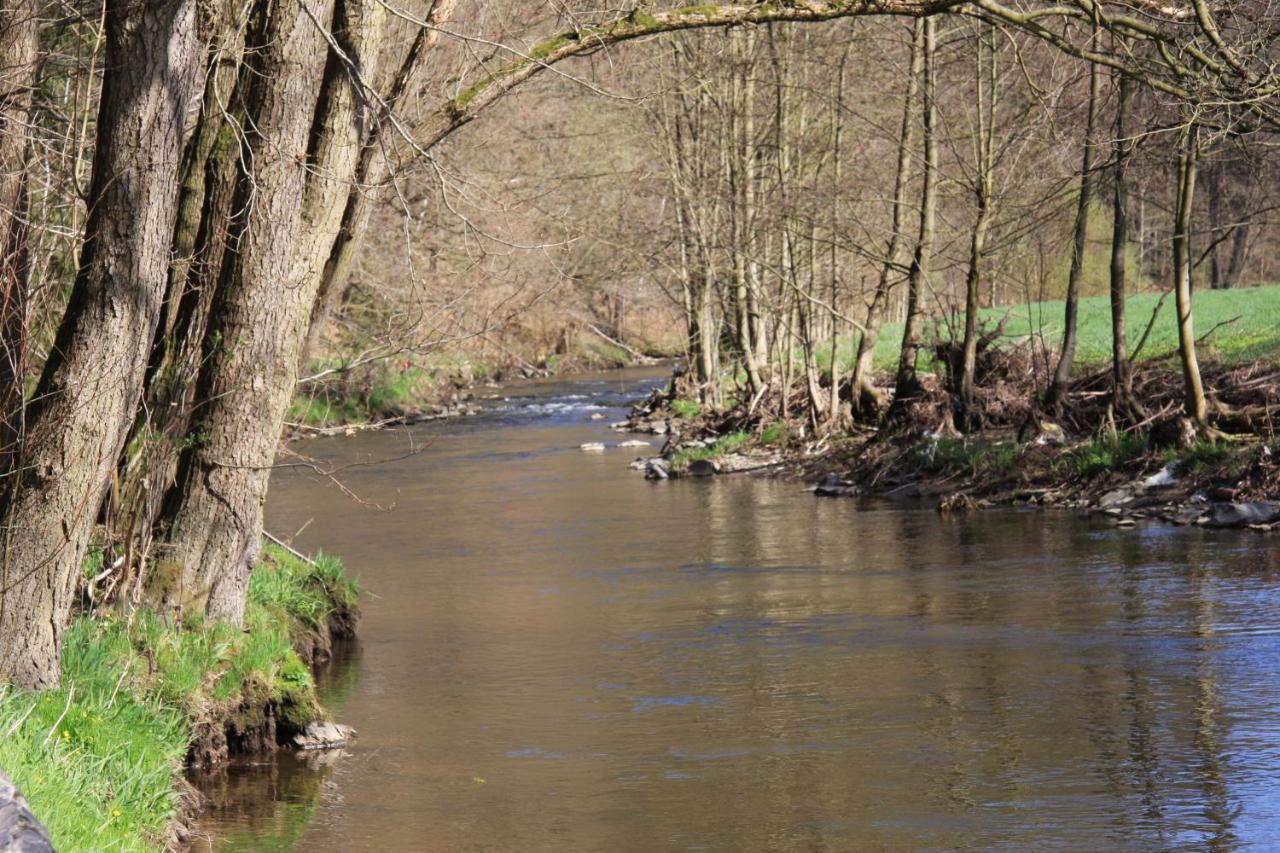 Hotel Waldfrieden Elsterberg Bagian luar foto